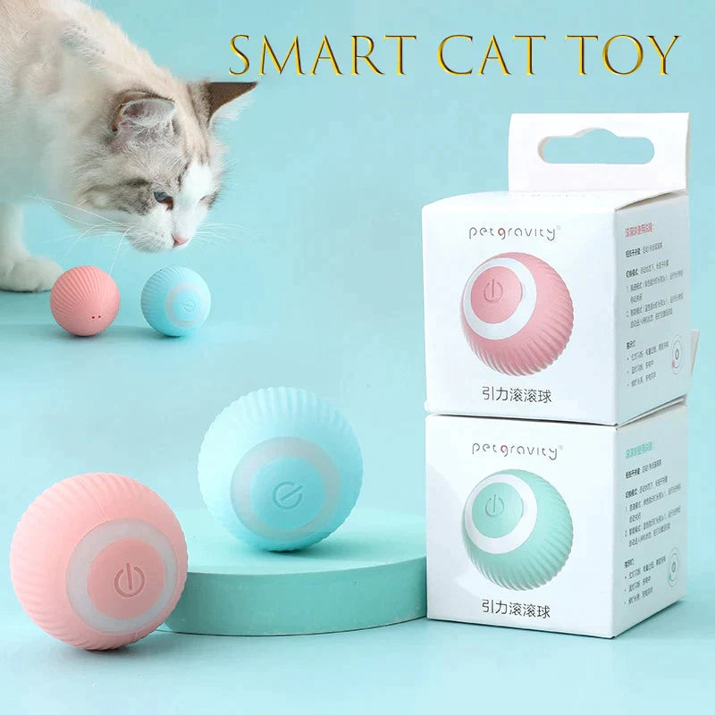 Interactive ball for cats - My Store