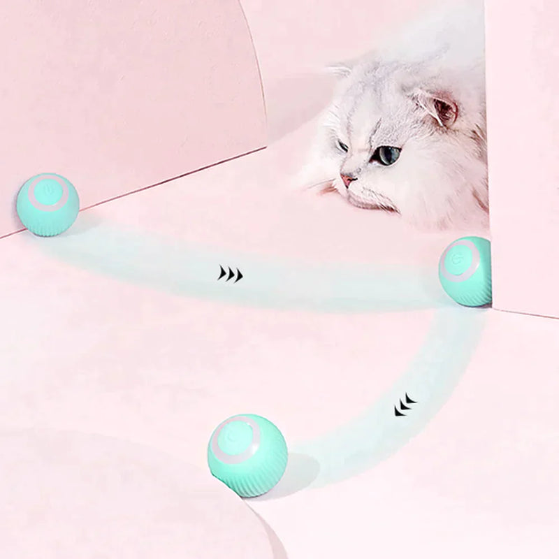 Interactive ball for cats - My Store
